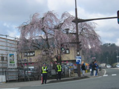 IMG_3993.JPG