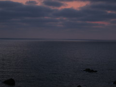 IMG_4196.JPG
