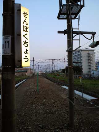 せんぼくちょう